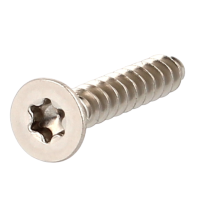 Eco-Syn pour Thermoplastiques Tête Fraisée Torx Inox A2