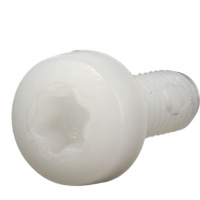 Vis à Tête Cylindrique Bombée Large Torx Nylon PA6.6 Naturel