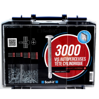 Coffret de Vis Autoperceuses à Tête Cylindrique