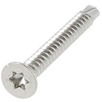Autoperceuse TF Torx Inox A2 Din 7504O
