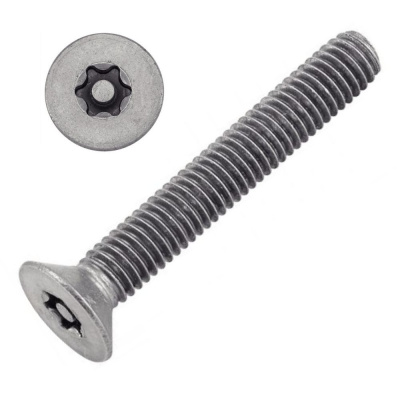 VIS INVIOLABLE TF TORX + TETON M4X12 INOX A2