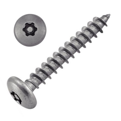 Vis Inviolable Bois Penture à Tête Cylidndrique Large Torx + Téton Central Inox A2