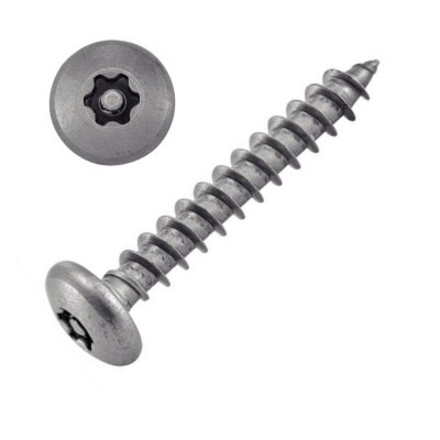 VIS TOLE INVIOLABLE TETE BOMBEE TORX + TETON 4.8X38 INOX